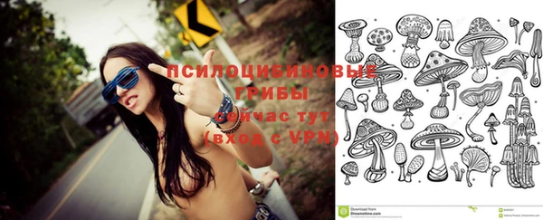 МДПВ Абдулино